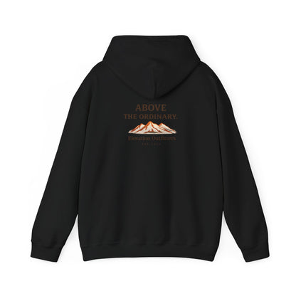 Above the Ordinary Graphic Hoodie